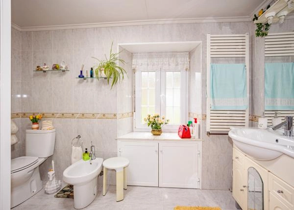 Galicia, Lugo, A Pontenova, casa de campo, baño 2