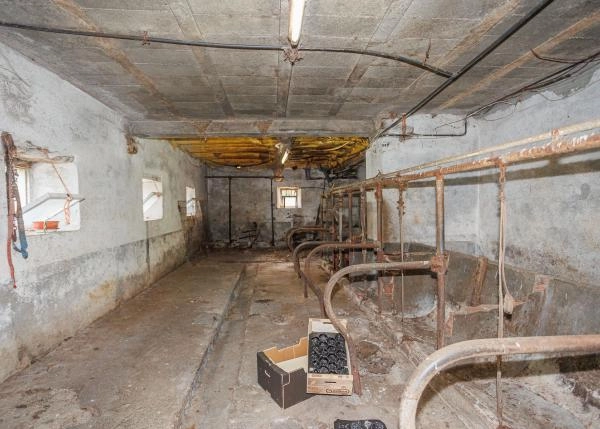 Galicia, Lugo, A Pontenova, casa de campo, accomodacion vacas