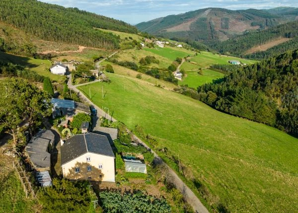 Galicia, Lugo, A Pontenova, country house, arial view 2