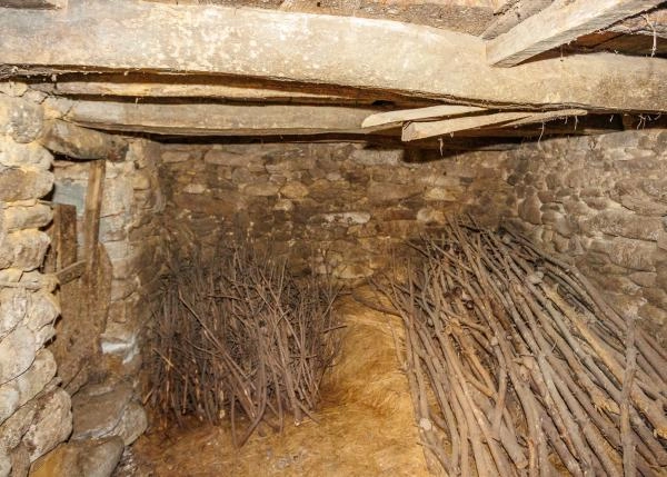 1627- Galicia Lugo, Valle de Ouro, abandoned village, interiores 5