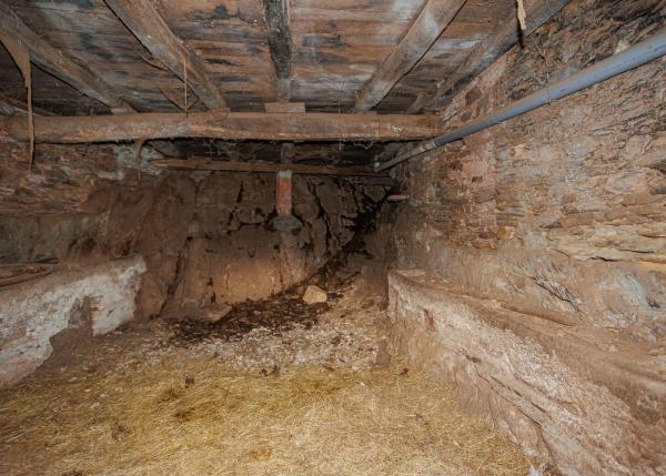 Asturias, Ibias, casa rural, bajos, 1