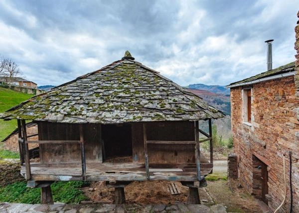 Asturias Ibias, casa de campo, vista trasera del horreo