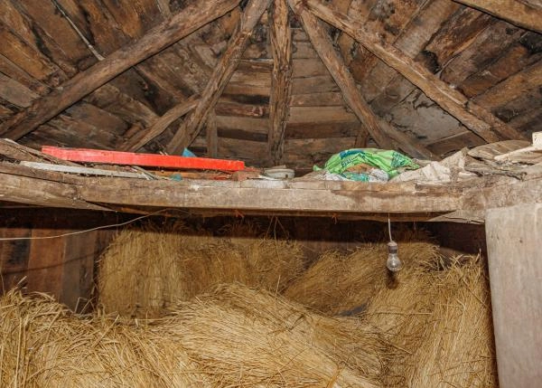 Asturias, Ibias, casa Rural, horreo 2