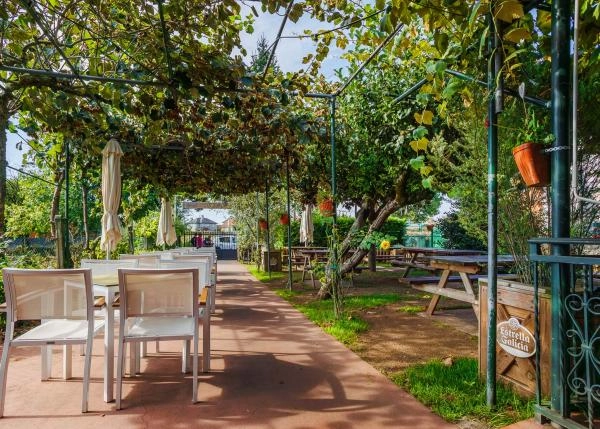  Galicia, La Coruña, Melide, Restaurante, jardin 11