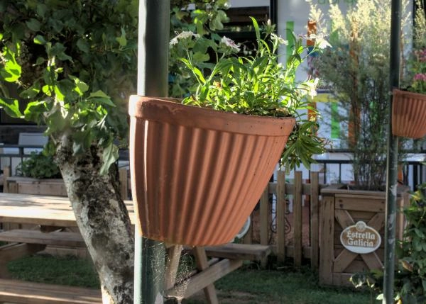 Galicia, La Coruña, Melide, restaurante, 14