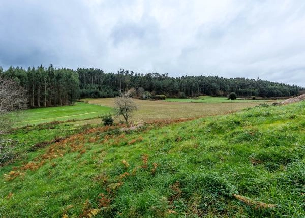 Galicia, La Coruña, Irixoa, country house, land plots