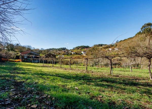 Galicia, Pontevedra, Vila de Cruces, Country house, vineyards