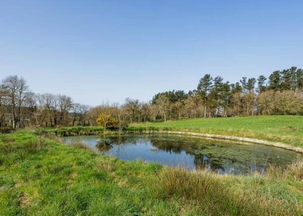  Galicia, Lugo, A campiña, country house, pond 2