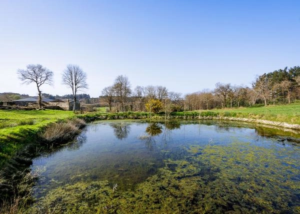 Galicia, Lugo, A campiña, country house, pond