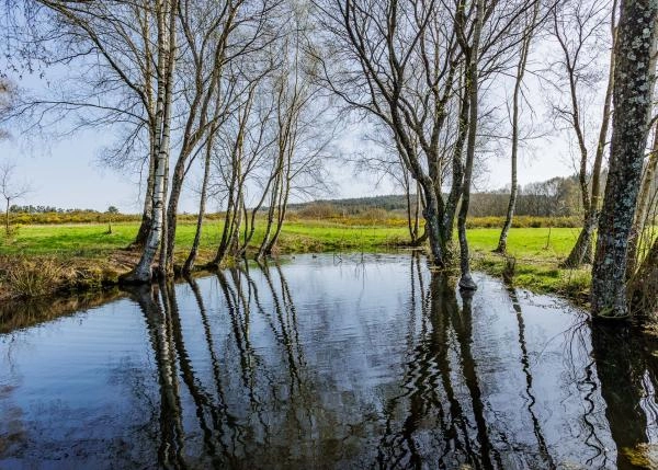 Galicia, A Campiña Lugo, country house, pond 2
