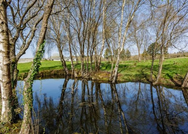 Galicia,Lugo, A campiña, country house, pond 1