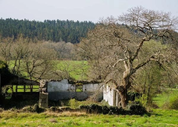  Galicia, Lugo, A campiña, country house, ruins 1