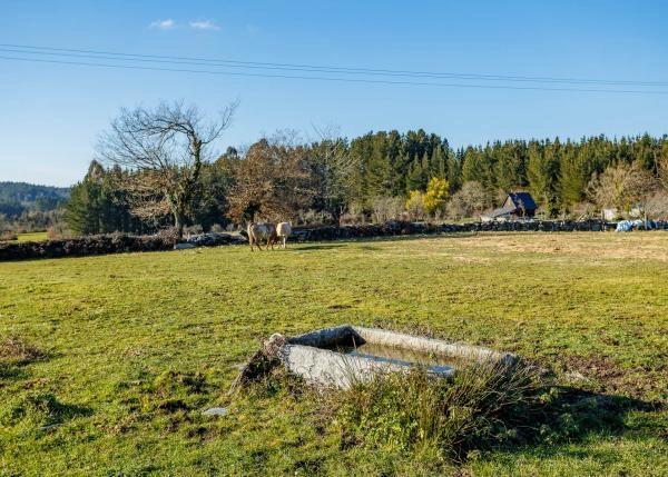  Galicia, Lugo, Corgo, casa de campo, con abrevedor de vacas