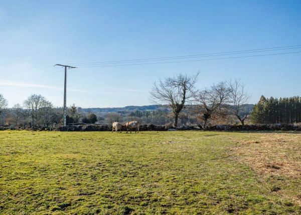  Galicia, Lugo, Corgo, casa de campo, finca