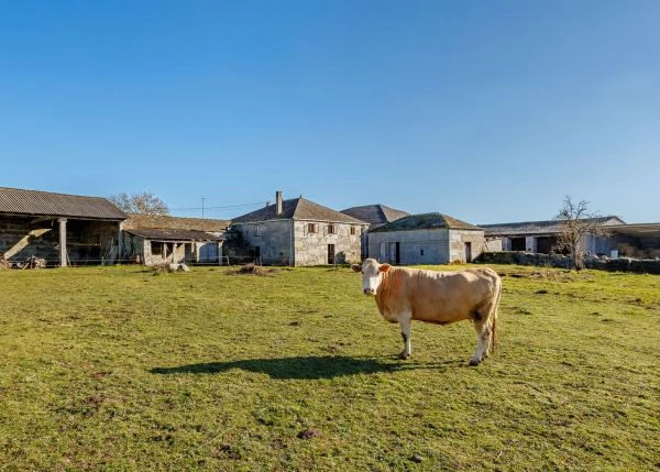 Galicia, Lugo, Corgo, casa de campo, con pasto
