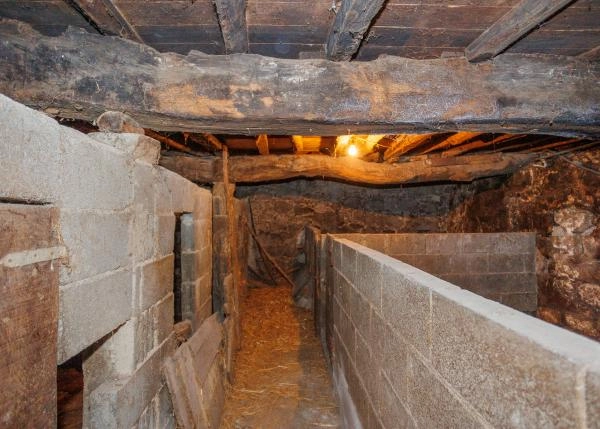  Galicia, Lugo, Corgo, casa de campo, cuadras cerdos