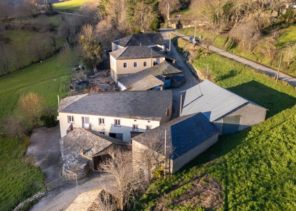 10-Sillan-65ae57b1ce3fa