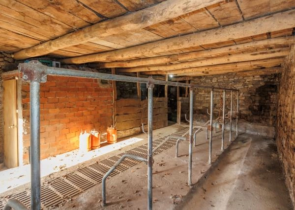 Galicia, Lugo, Sillan, Os Ancares, casa de campo, nave vacuno