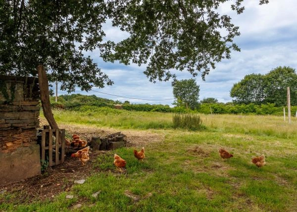 1793-Galicia, Arzua, Pazo, finca trasera