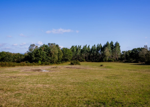 117-1795-66ea91eb59869