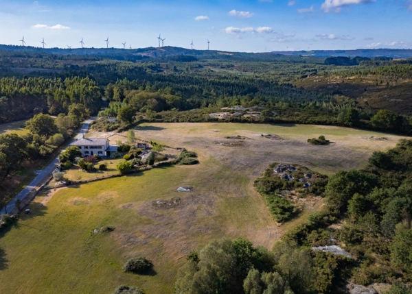 6-1795-66ea904c574d9