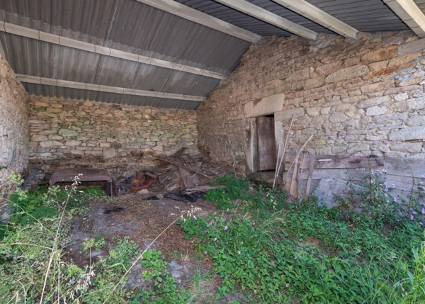 DSC-4650-68653e604ceea