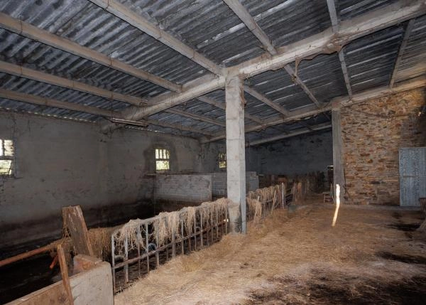 Galicia, Lugo, Begonte, casa de campo, nave vacuno
