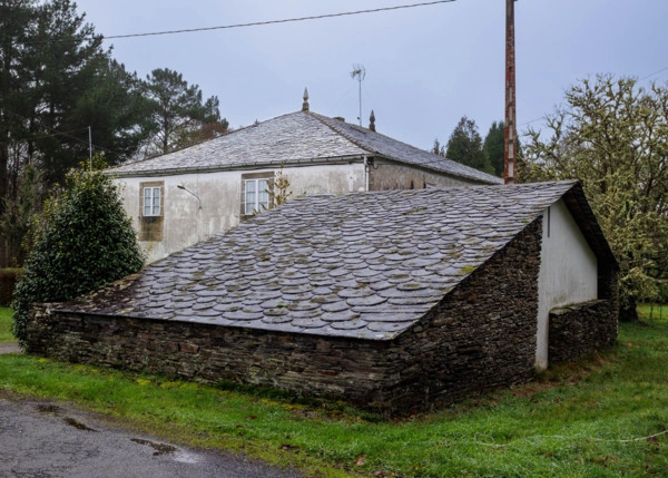 22-Pigara-659c7eae50b8c