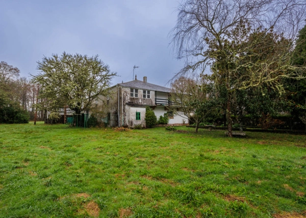 30-Pigara-659c7ebf4ea9f