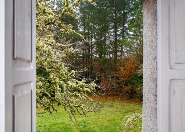 95-Pigara-659c7f2726e31