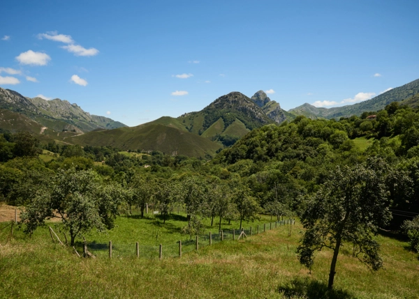 La-Tahona-de-Besnes-17-65f052d1002e1