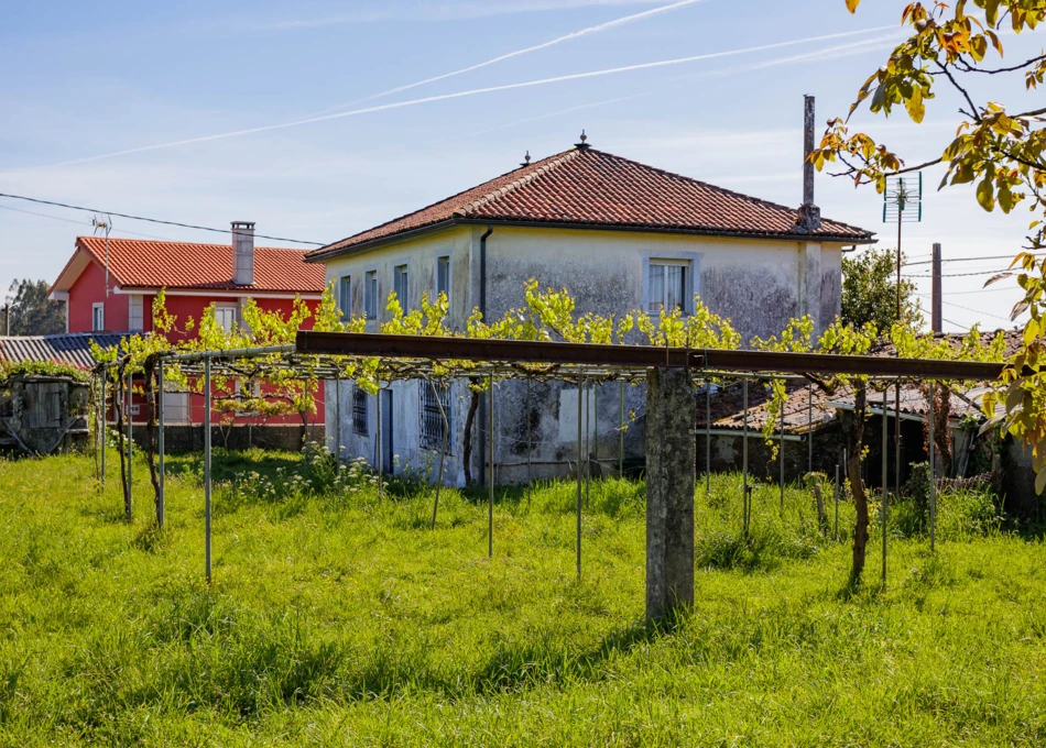 1997-Galicia, La Coruña, country house seen from vineyard