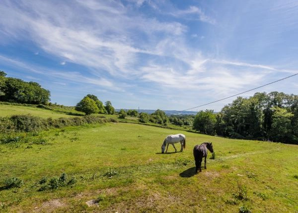 Galicia, Lugo, Sarria, caballos en campos
