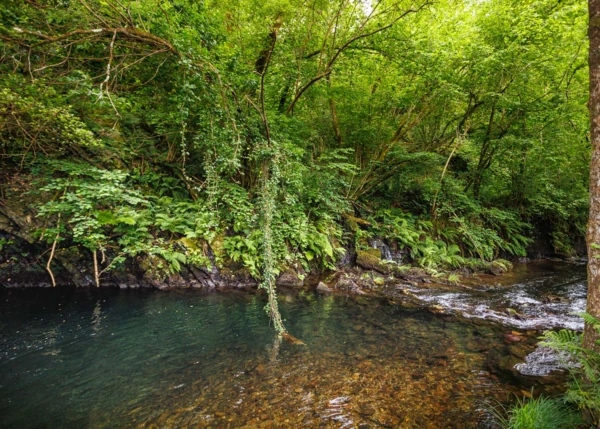 2042- Asturias,  Castropol vista area river