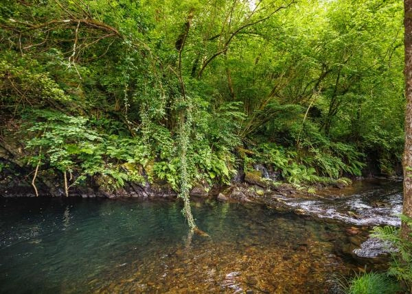 Asturias,  Castropol vista area rio