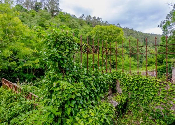 Asturias,  Castropol vista area exterior 1