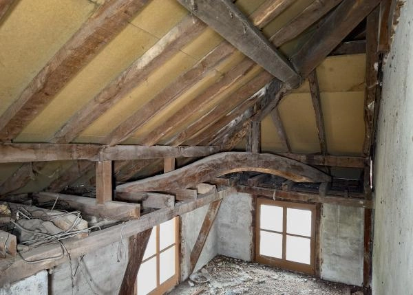 Asturias, Salas, Barcenas, roof interior