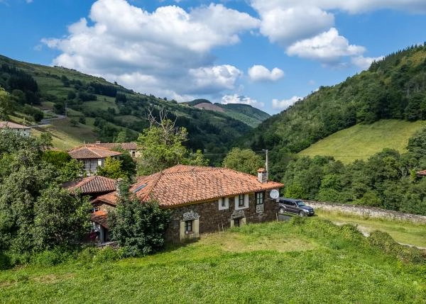 Asturias, Allende, vista area 4