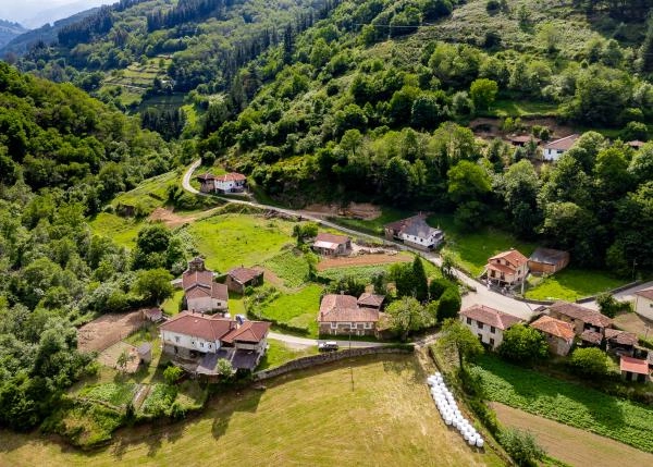  Asturias, ,Allende vista area 2