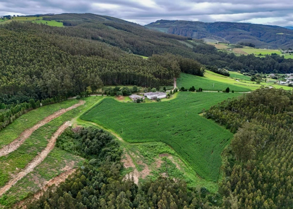 2071- Galicia, Lugo, Barreiros arial view 2