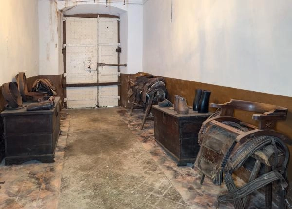  Asturias, Vegadeo, workshop horses saddles