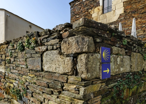 22-2099-69dc96b67a48a