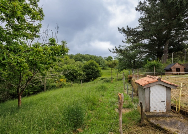 50-2122-6849c3440f00c