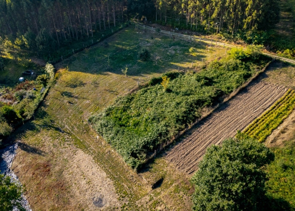 2128 - Galicia, Lugo, Outeiro de Rei, plot aerial view 2
