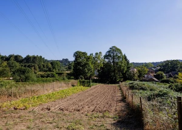 2128 - Galicia, Lugo, Outeiro de Rei, planting land