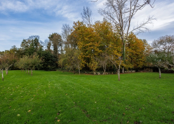 Galicia, Lugo, Vilapene, land