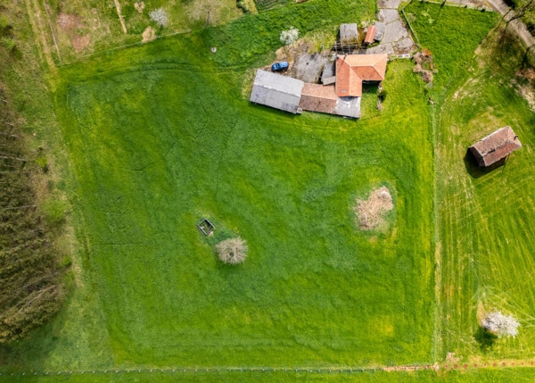 16-2172-6806737b8df28