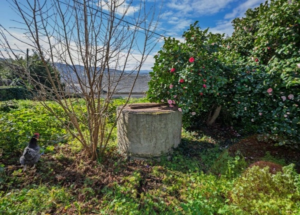 GCH-2189-exterior-pozo-vegetacion