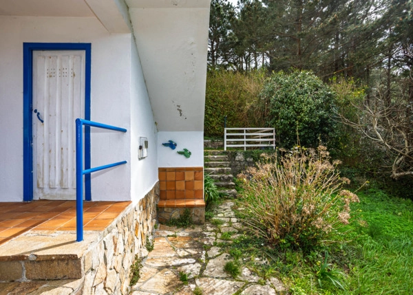 GCH-2214-exterior-terrace-plants