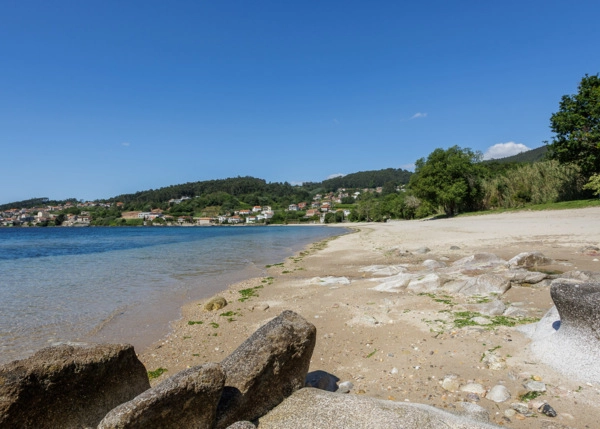 116-2218-6831fa9b48c81